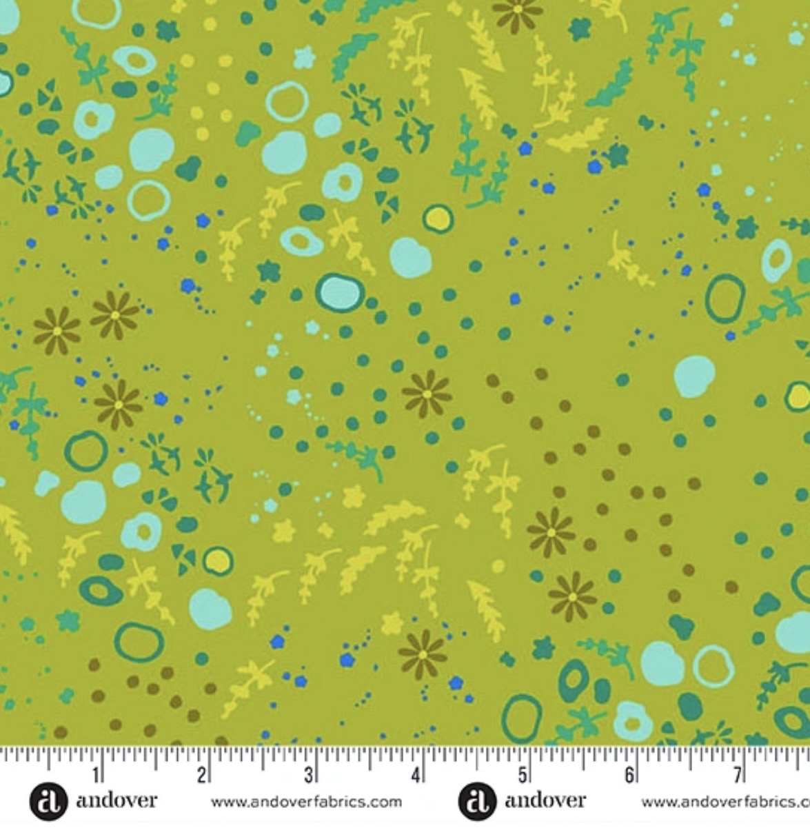 Sun Print 2026 by Alison Glass Equanimity Toad